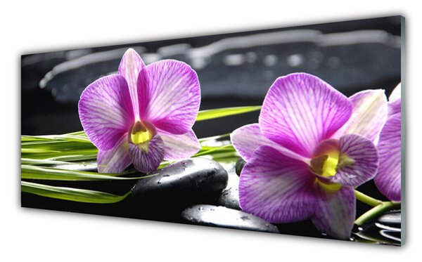 Tablou pe sticla Pietrele florale flori roz negru