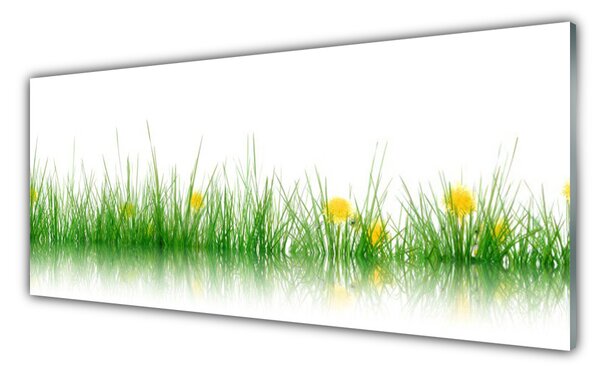 Tablou pe sticla Iarbă Natura verde