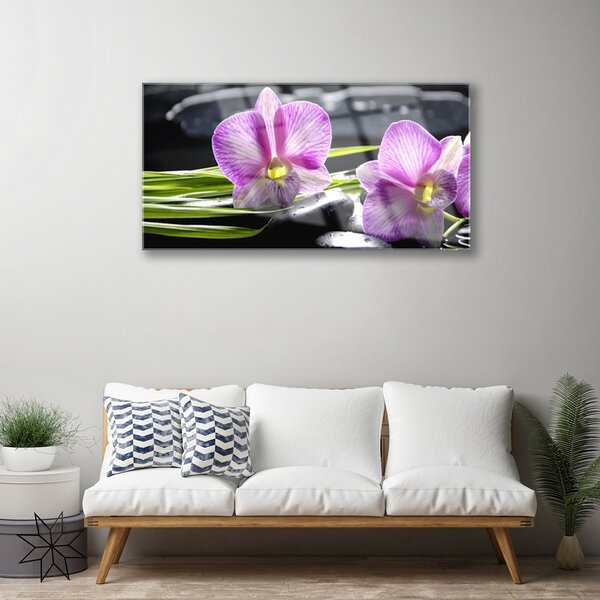 Tablou pe sticla Pietrele florale flori roz negru