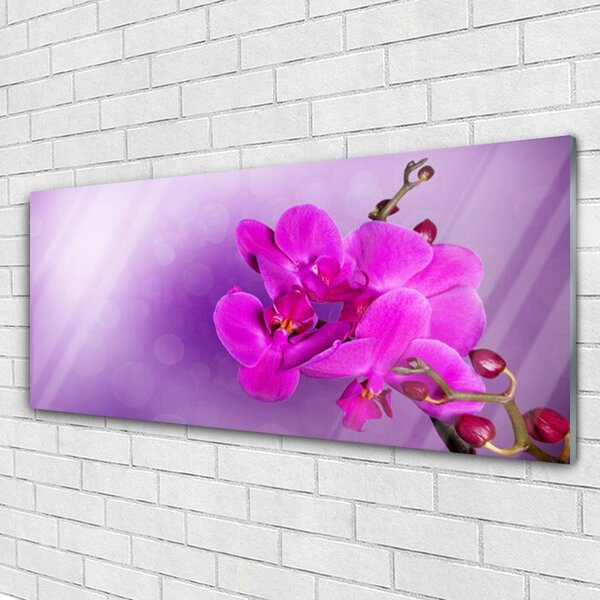 Tablou pe sticla Flori roz Floral