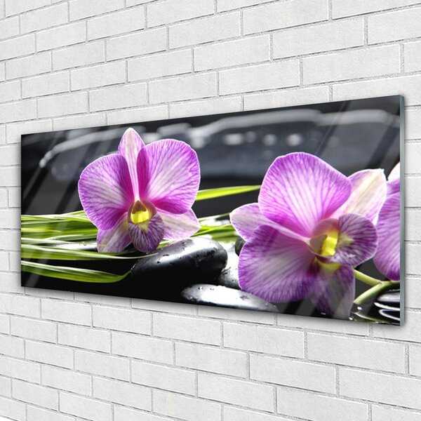 Tablou pe sticla Pietrele florale flori roz negru