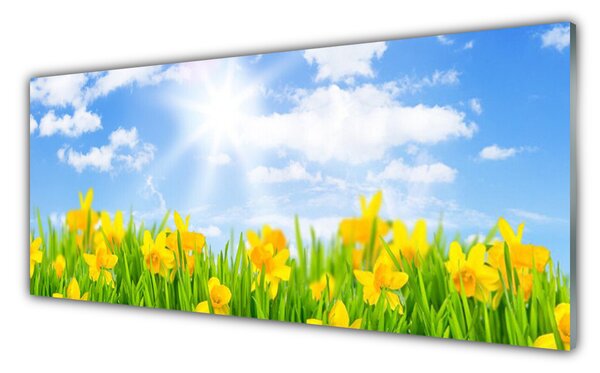Tablou pe sticla Jonquille Sun Floral Verde Galben Alb