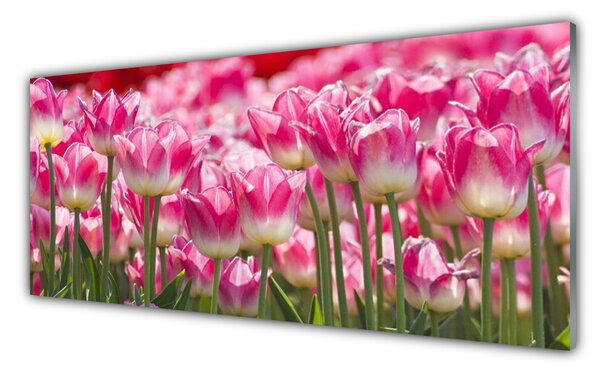 Tablou pe sticla Lalele Floral Verde Alb Roșu