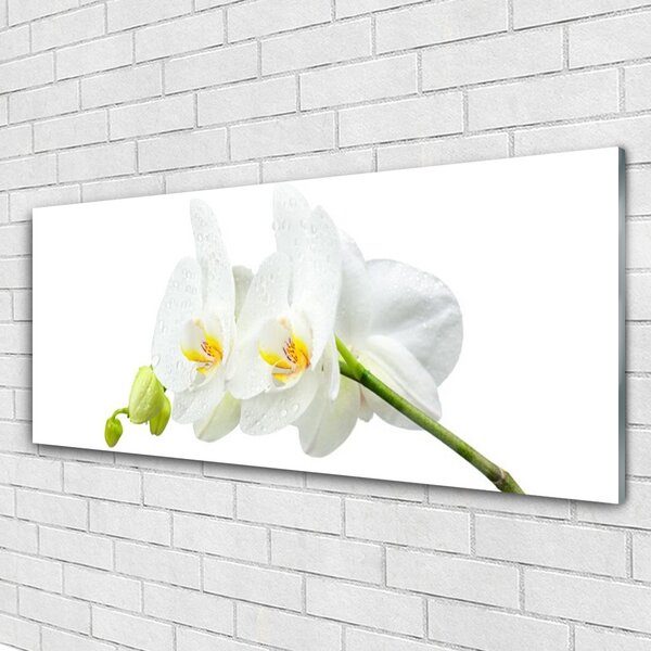 Tablou pe sticla Flori Floral alb
