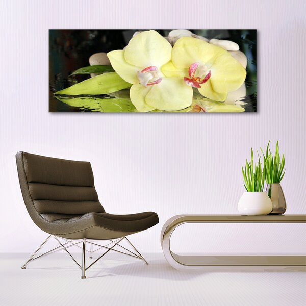 Tablou pe sticla Petal Floral Verde