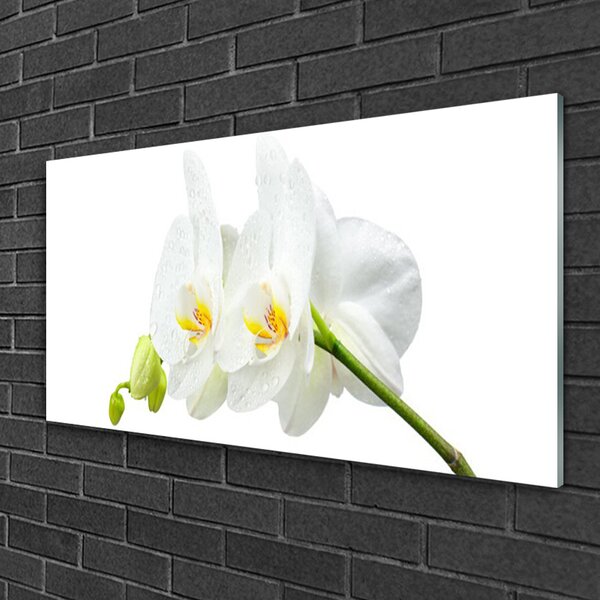 Tablou pe sticla Flori Floral alb