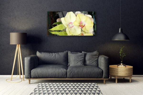Tablou pe sticla Petal Floral Verde