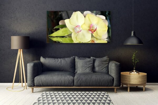 Tablou pe sticla Petal Floral Verde