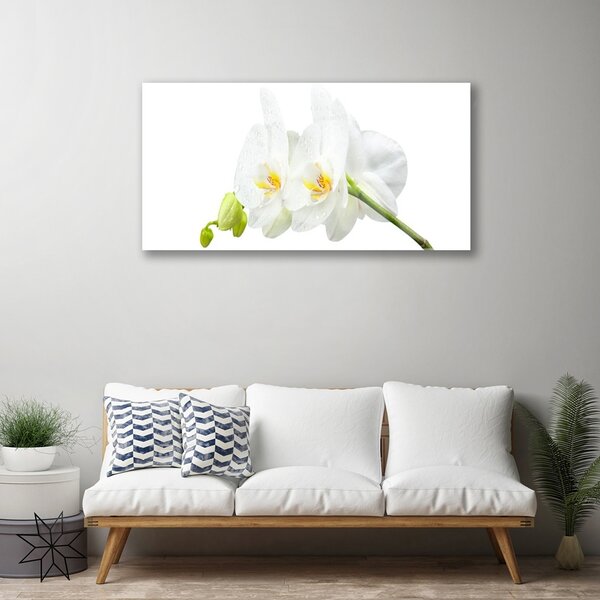 Tablou pe sticla Flori Floral alb