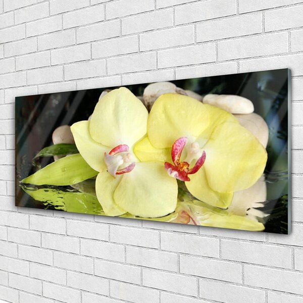Tablou pe sticla Petal Floral Verde