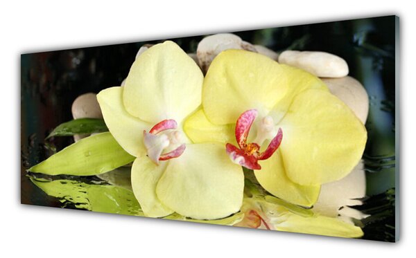 Tablou pe sticla Petal Floral Verde