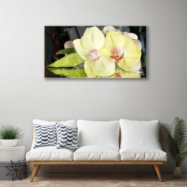Tablou pe sticla Petal Floral Verde