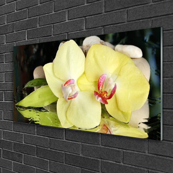 Tablou pe sticla Petal Floral Verde
