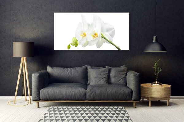 Tablou pe sticla Flori Floral alb