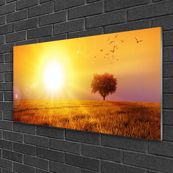 Tablou pe sticla Sun Meadow Peisaj Galben Maro