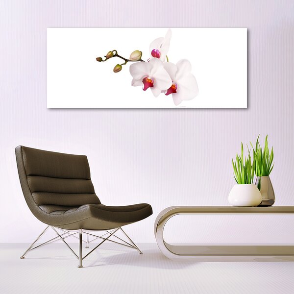 Tablou pe sticla Flori Floral Roz Alb