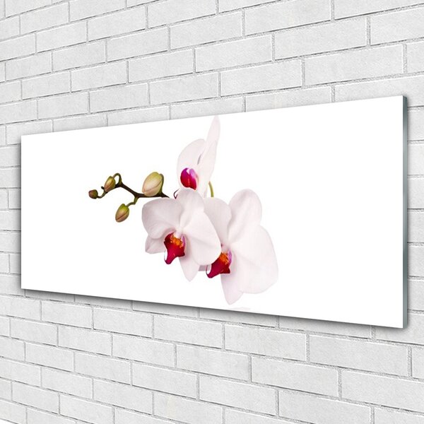 Tablou pe sticla Flori Floral Roz Alb