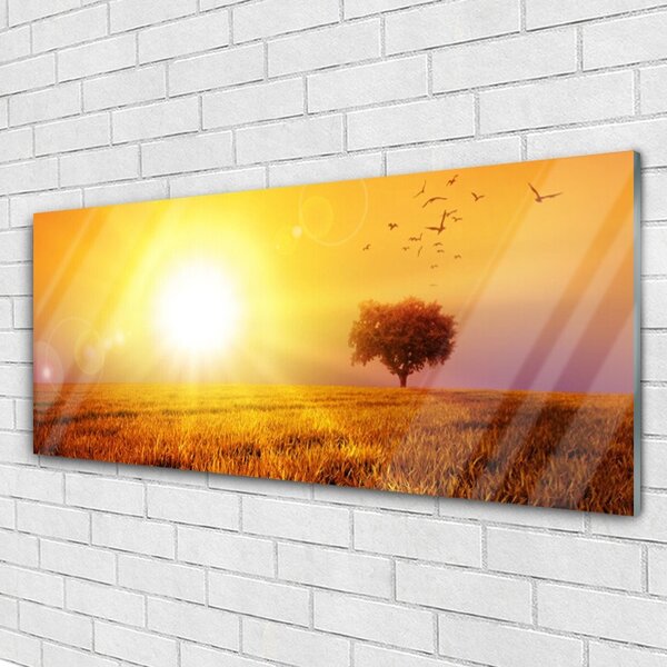 Tablou pe sticla Sun Meadow Peisaj Galben Maro