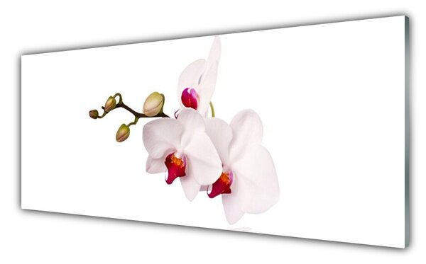 Panou sticla bucatarie Flori Floral Roz Alb