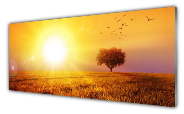 Tablou pe sticla Sun Meadow Peisaj Galben Maro