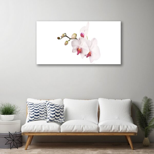 Tablou pe sticla Flori Floral Roz Alb