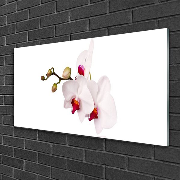 Tablou pe sticla Flori Floral Roz Alb