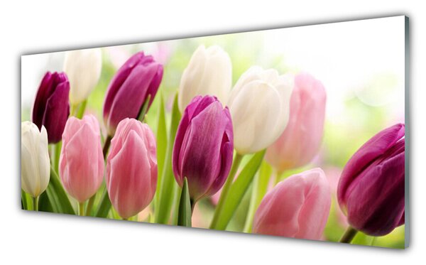 Tablou pe sticla Lalele Floral Alb Roșu Roz