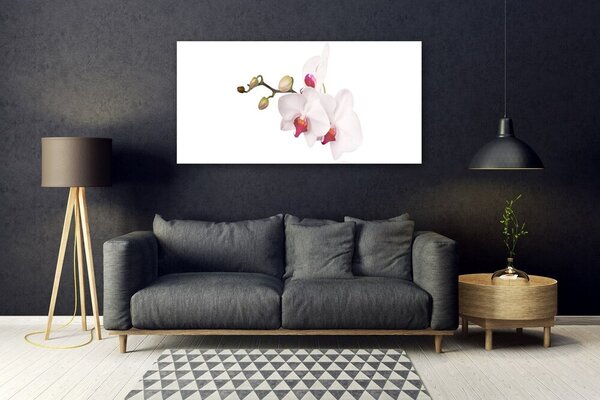 Tablou pe sticla Flori Floral Roz Alb