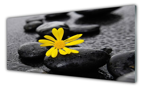 Tablou pe sticla Pietrele de flori Arta Galben Negru
