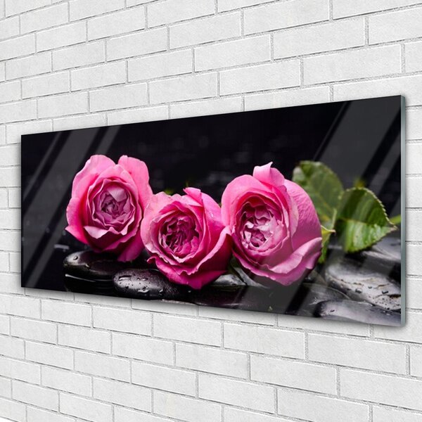 Tablouri acrilice Trandafiri pietre Floral Rosu Negru