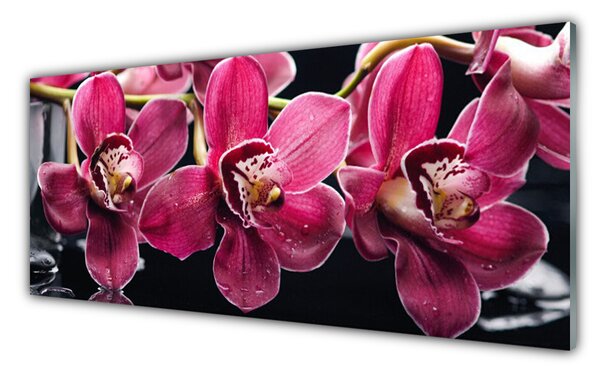 Tablouri acrilice Flori Floral Roșu