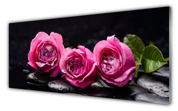Tablouri acrilice Trandafiri pietre Floral Rosu Negru