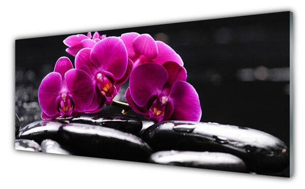 Tablou pe sticla Pietrele florale flori Roșu Negru