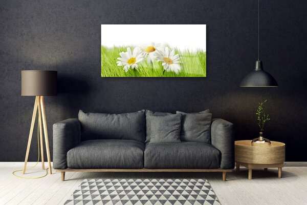 Tablou pe sticla Iarbă Margarete Floral Alb Verde