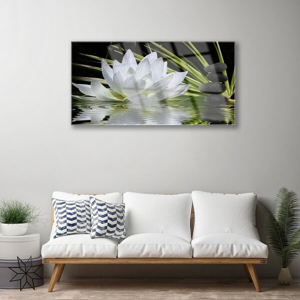 Tablou pe sticla Pietrele de flori Apă Floral Alb Negru