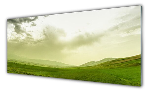 Panou sticla bucatarie Meadow Natura verde