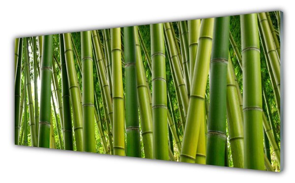 Tablou pe sticla Bamboo Tulpini Floral Verde