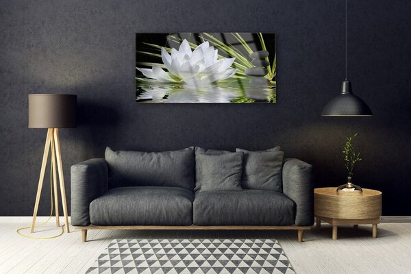 Tablou pe sticla Pietrele de flori Apă Floral Alb Negru