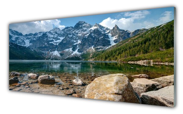 Panou sticla bucatarie Mountain Lake Forest Stones Peisaj Gri Verde Maro