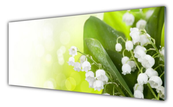Tablou pe sticla Lacramioare Frunze Floral Alb Verde
