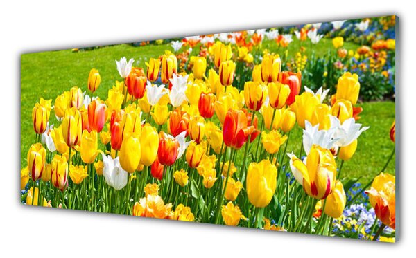 Panou sticla bucatarie Lalele Floral Galben Roșu Alb