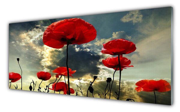 Panou sticla bucatarie Maci Floral Red