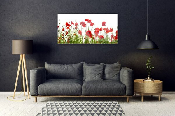 Tablou pe sticla Maci Floral Roșu Verde