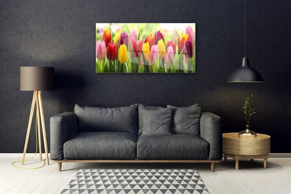 Tablou pe sticla Lalele Floral Roz Roșu Galben