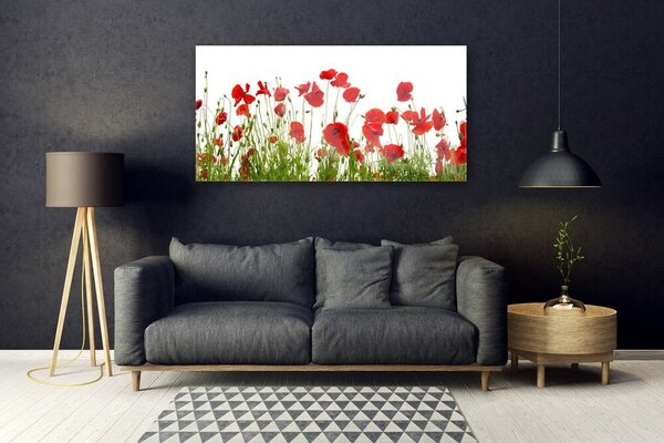 Tablou pe sticla Maci Floral Roșu Verde