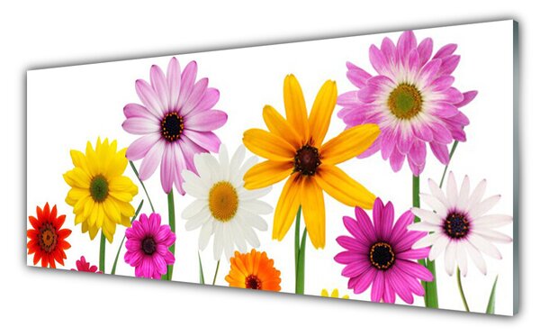 Tablou pe sticla Flori Floral Multi