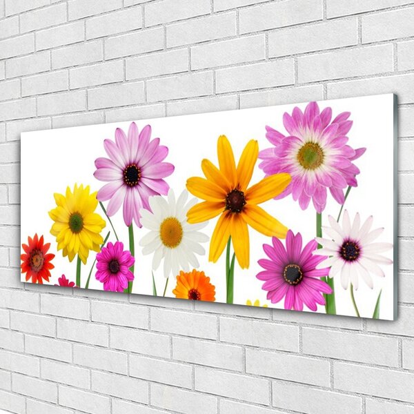Tablou pe sticla Flori Floral Multi