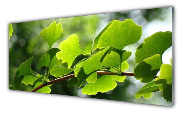Panou sticla bucatarie Branch Frunze Floral verde maro