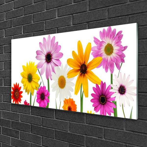 Tablou pe sticla Flori Floral Multi