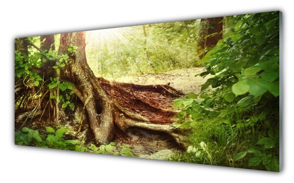 Tablouri acrilice Trunchi de copac Natura Brun Verde